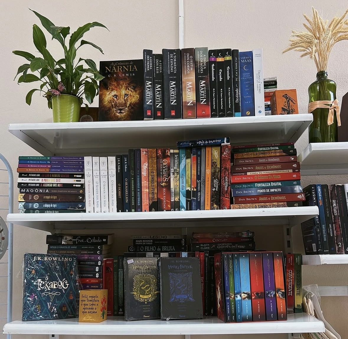 Ambiente do Sebo Literário